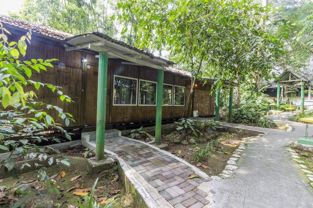 郝斯特瑞亚伊1帕拉伊索德拉丝奥雀德斯酒店 Archidona 外观 照片